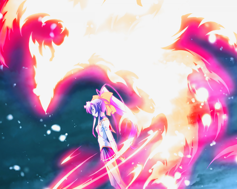 My blazing fire bird