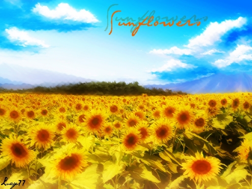 Sunflowers