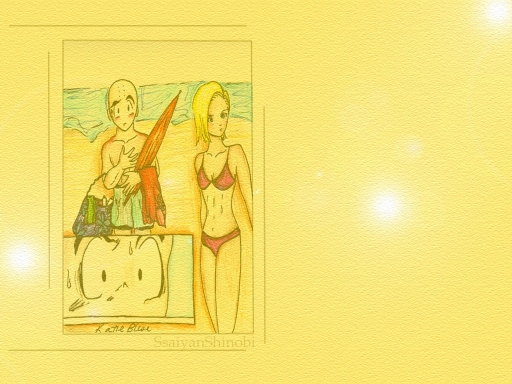 18 & Krillin At The Beach