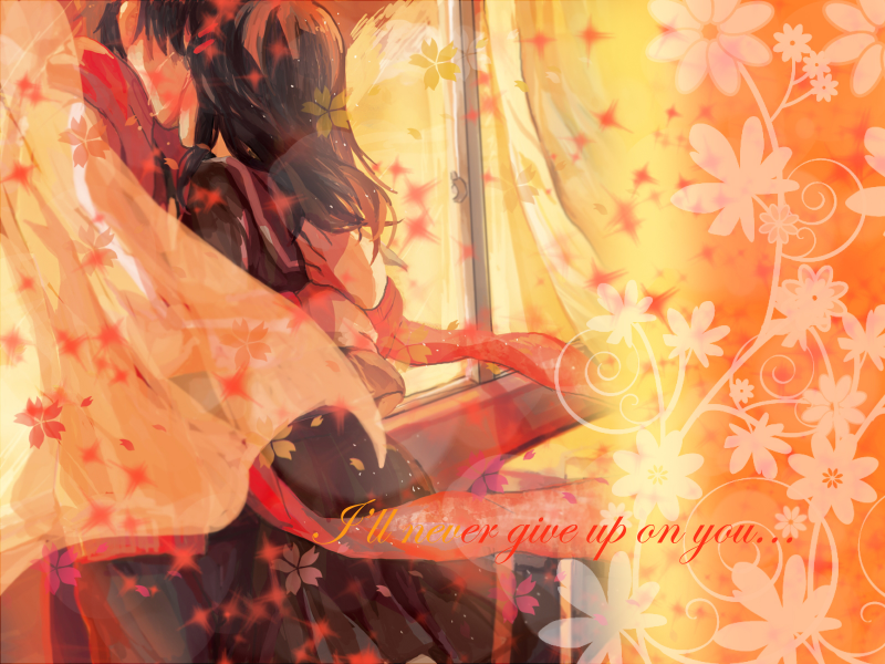 I'll never give up on you...