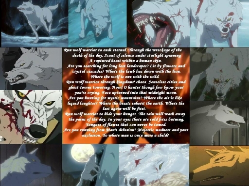 Run Wolf Warrior, Run