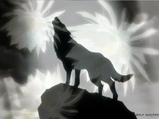 wolf flower