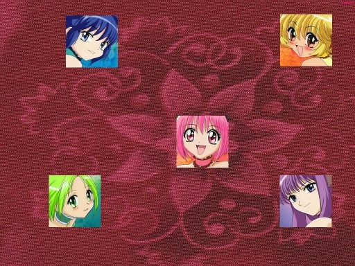 Tokyo mew mew