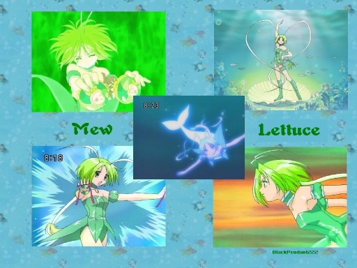 Mew Lettuce