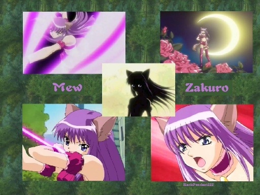 Mew Zakuro