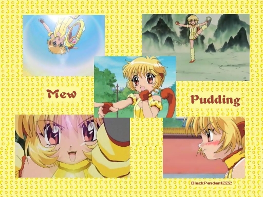 Mew Pudding