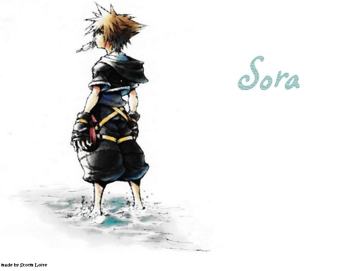Wallsora