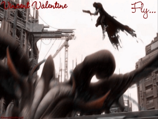 Vincent Valentine Fly