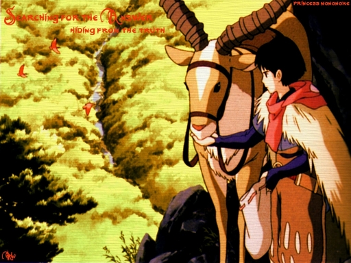 Searching For The Answer