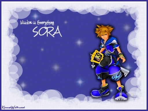 Wisdom Is Sora