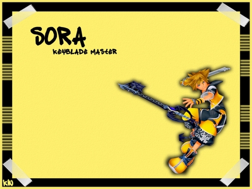 Sora Master Form