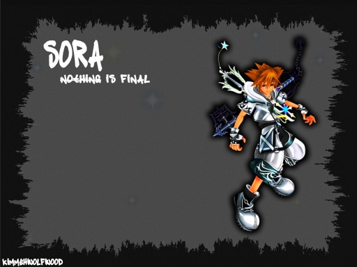 Sora Final Form