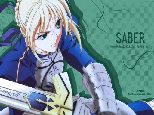 Fighting Saber