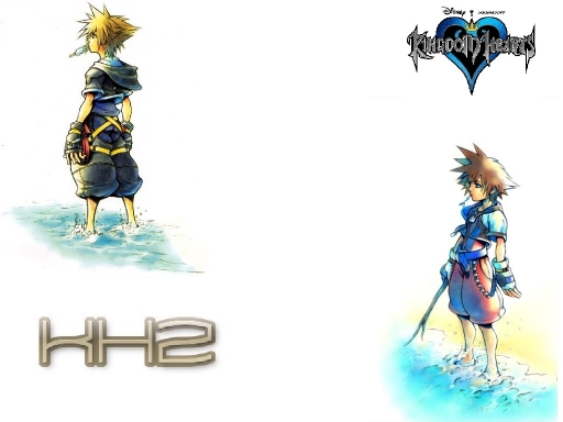 Yonger And Older Sora