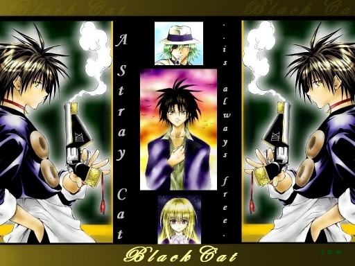 Black Cat