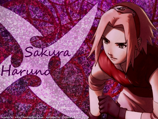 Shippuden Sakura