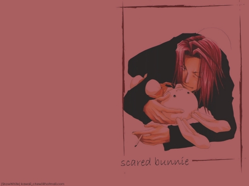 happy bunnie (Gojyo version)