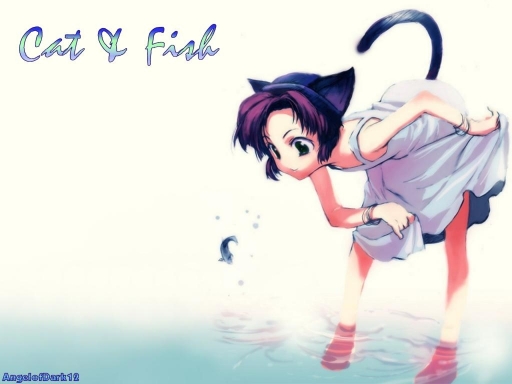 Cat & Fish