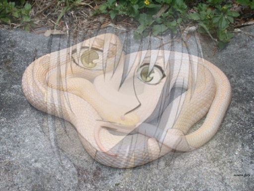 Furba Snake