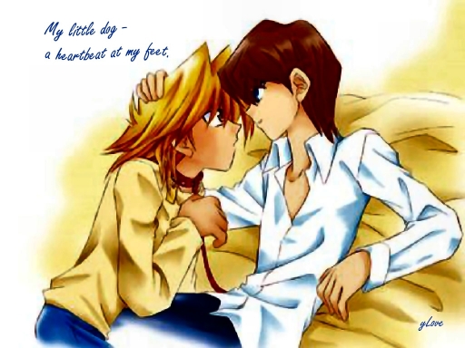 Puppyshipping Collar