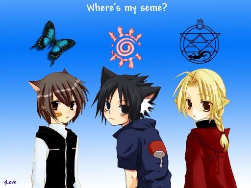 Where's My Seme? Yaoi