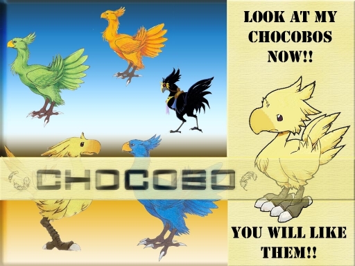 Chocobo Obsessed